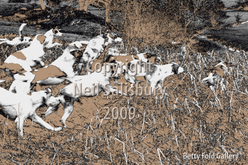 Digital art hunting prints by Betty Fold Gallery